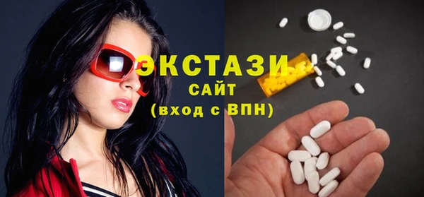 ECSTASY Бородино